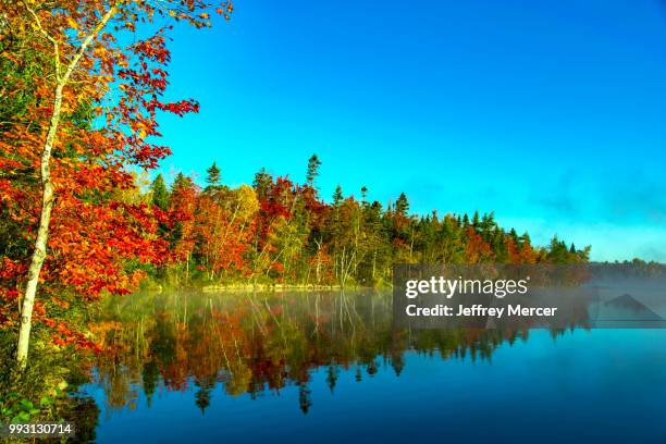 mccabe lake autumn colors.jpg - mercer imagens e fotografias de stock