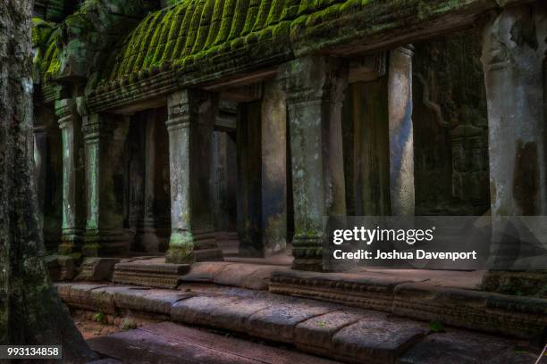 the ruins of ta prohm - davenport stock pictures, royalty-free photos & images