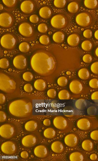 abstract photo of condensation of water droplets on a pitcher. - marie hickman stock pictures, royalty-free photos & images