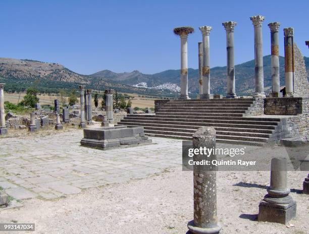 volubilis - volubilis stock pictures, royalty-free photos & images