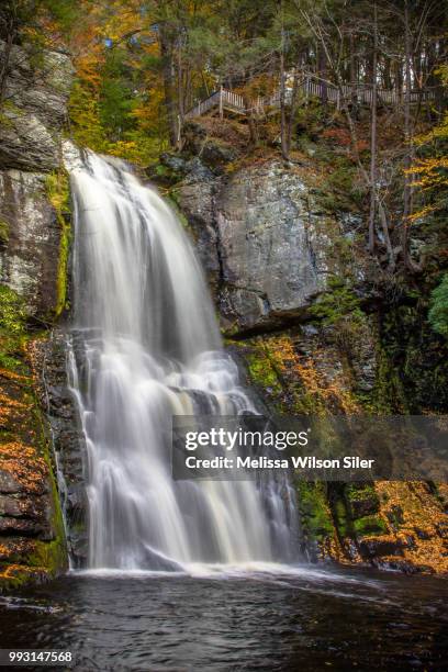 334 Bushkill Falls Stock Photos, High-Res Pictures, and Images - Getty ...