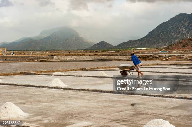 worker pushing wheelbarrow with full of salt on the salt field, - phan rang stock pictures, royalty-free photos & images