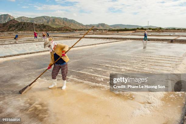 adults only, agriculture, asian style conical hat, bending, color image, copy space, cultures, day, drying, equipment, factory, farmer, full length, hat, holding, horizontal, lifestyles, manual worker, mineral, mining - natural resources, one man only, on - phan rang stock pictures, royalty-free photos & images