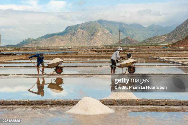 men using shovels to load salt into the wheelbarrows - phan rang stock pictures, royalty-free photos & images