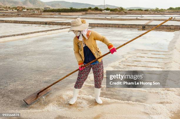 woman using wooden rake to collect salt on the field - phan rang stock pictures, royalty-free photos & images
