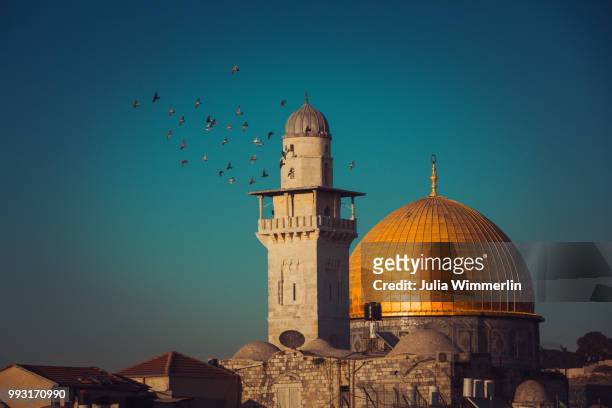 dome of the rock in jerusalem. - dome of the rock stock-fotos und bilder