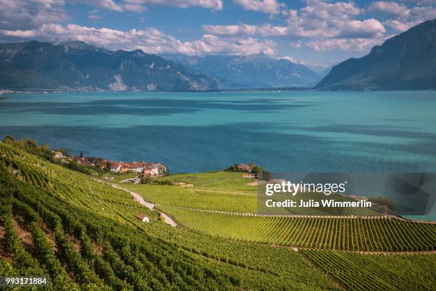 bienvenue en suisse - suisse - fotografias e filmes do acervo