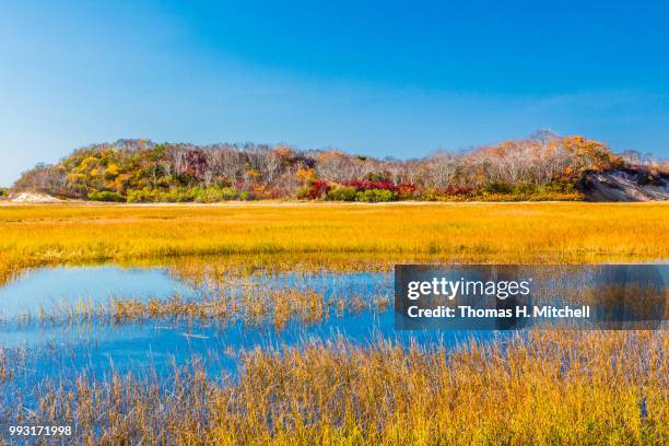 ma-cape cod-provincetown - flowing cape 個照片及圖片檔