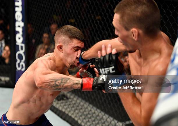 Joe Giannetti punches Michael Trizano in their lightweight bout during The Ultimate Fighter Finale event inside The Pearl concert theater at Palms...