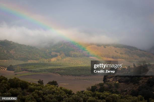 rayo de luz - rayo de luz stock pictures, royalty-free photos & images