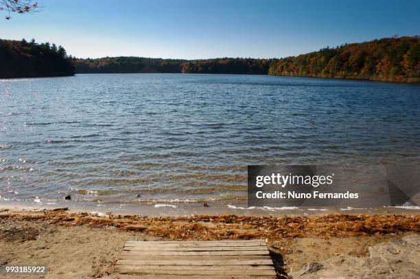 walden pond - walden stock pictures, royalty-free photos & images