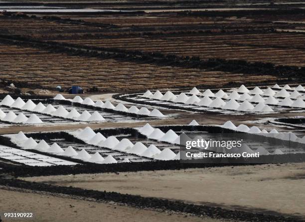 lanzarote, salinas del janubio - elemento del design - fotografias e filmes do acervo