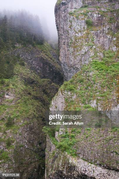 kenai fjords - allyn stock pictures, royalty-free photos & images