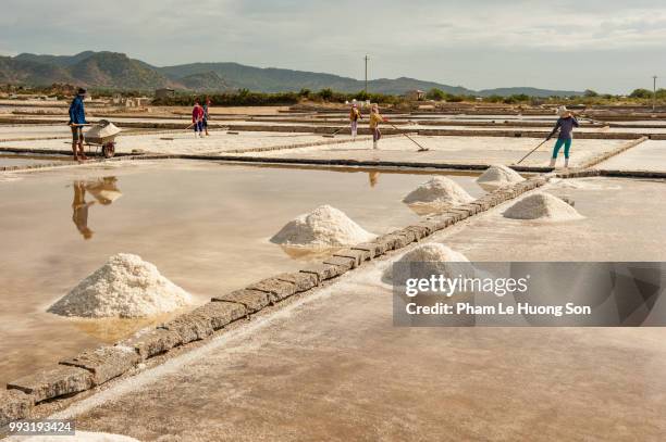 people working on the salt field - phan rang stock pictures, royalty-free photos & images