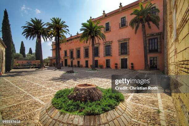 569 Roth Tree Stock Photos, High-Res Pictures, and Images - Getty Images