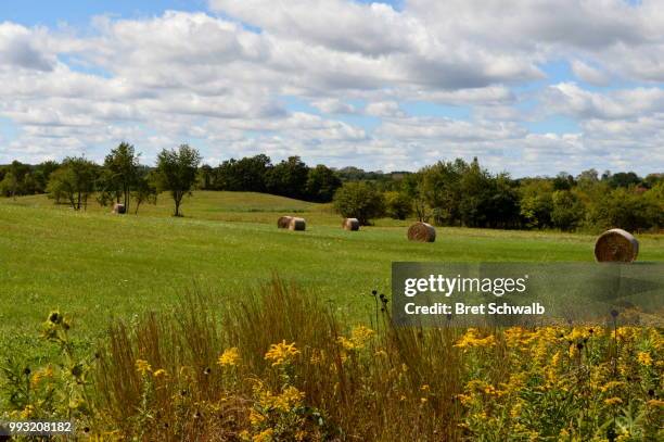 edge of the field - bret schwalb stock pictures, royalty-free photos & images