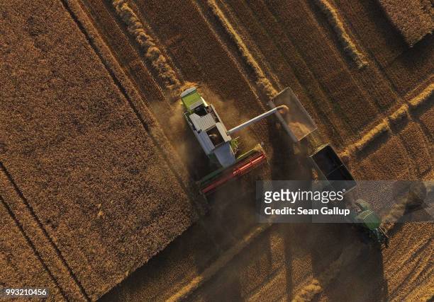 In this aerial view a combine harvester discharges its load of triticale, a hybrid grain of wheat and rye, during a harvest of winter grains on a...
