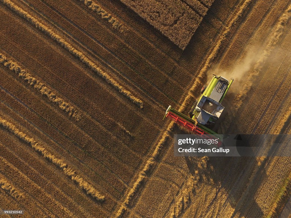 Grain Harvests Suffer Under Long, Hot Weather