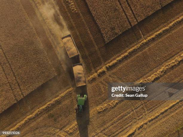 In this aerial view a tractor pulls wagons of triticale, a hybrid grain of wheat and rye, during a harvest of winter grains on a field in Brandenburg...