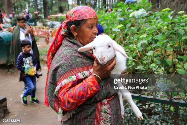 Woman with her lamb waiting for tourists in Manali town, Himachal Pradesh , India on 6th July,2018.Manali is a resort town nestled in the mountains...