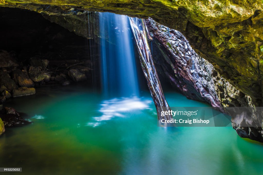 The Natural Bridge, Springbrook National Park