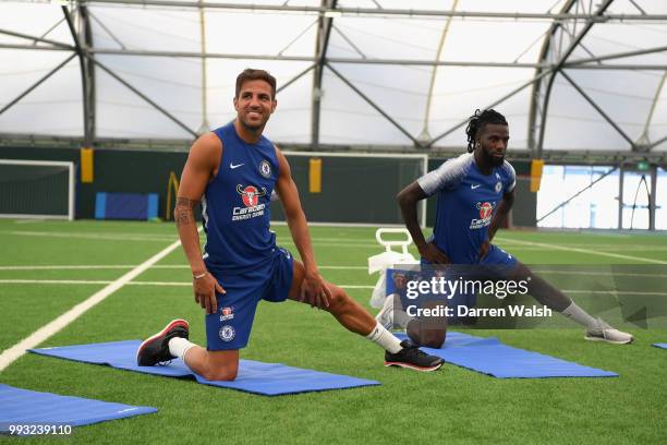 Cesc Fabregas and Tiemoue Bakayoko of Chelsea during a training session at Chelsea Training Ground on July 7, 2018 in Cobham, England.