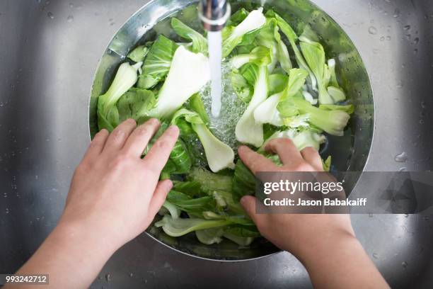 bok choy preparation - bok choy stockfoto's en -beelden