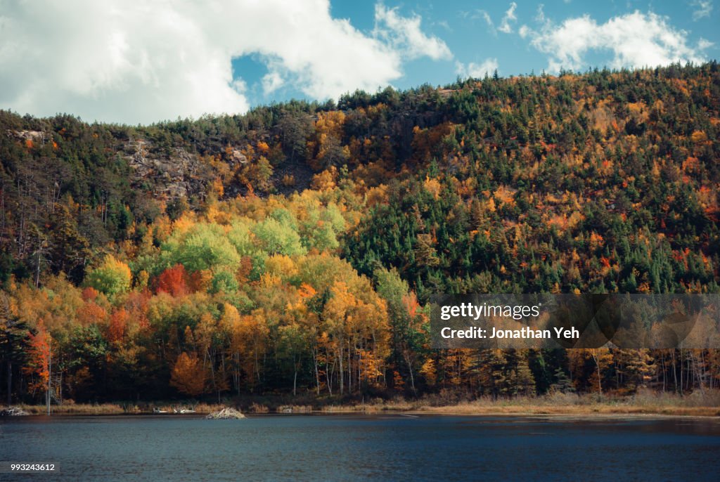 Beaver Dam Pond