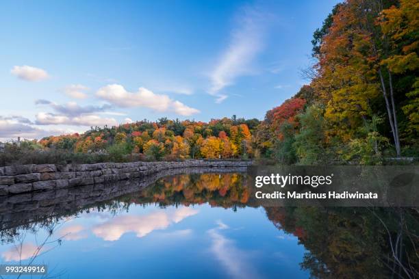 a reflection of autumn - martinus stock pictures, royalty-free photos & images