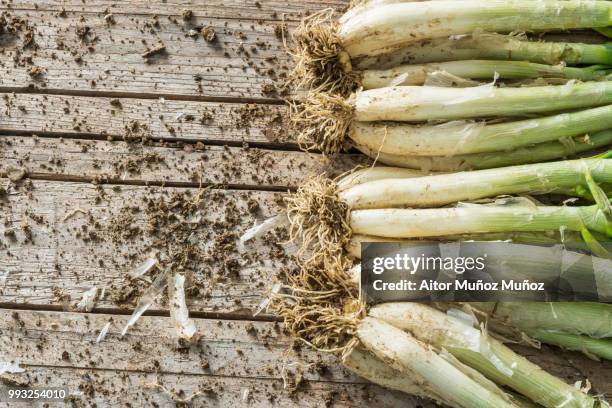 rustic leek - leek stock pictures, royalty-free photos & images