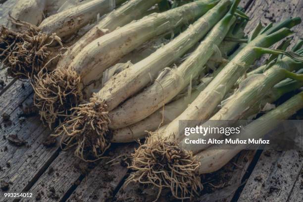 rustic leek - leek stock pictures, royalty-free photos & images