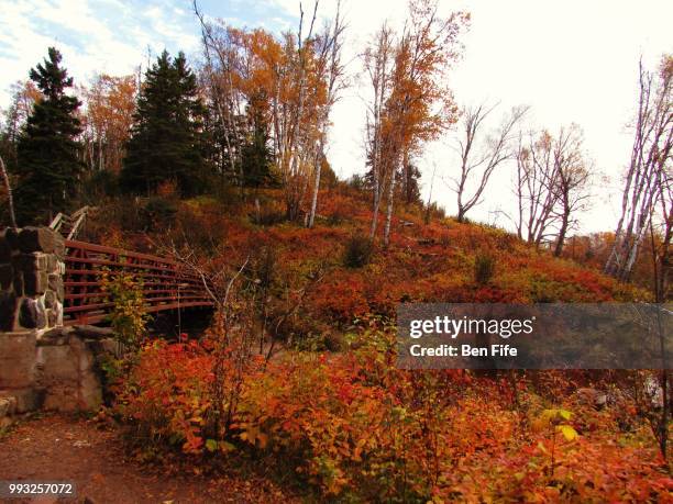 autumn in gooseberry falls - gooseberry - fotografias e filmes do acervo