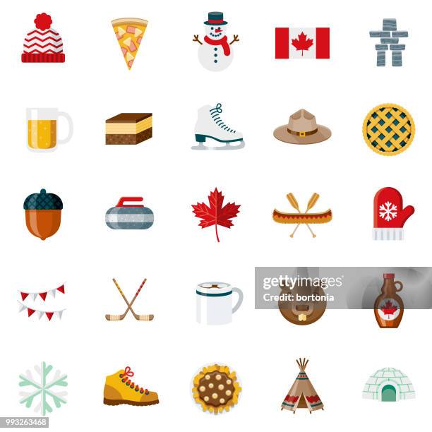 ilustrações de stock, clip art, desenhos animados e ícones de flat design canada icon set - patim de gelo