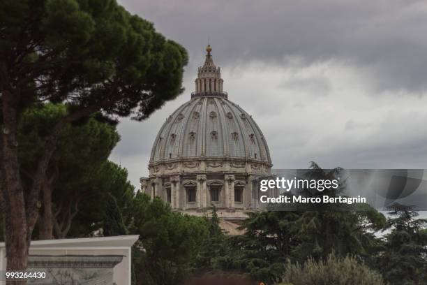 cupola di san pietro - basilica di san marco 個照片及圖片檔