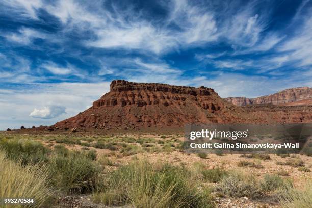 marble canyon - marble canyon foto e immagini stock