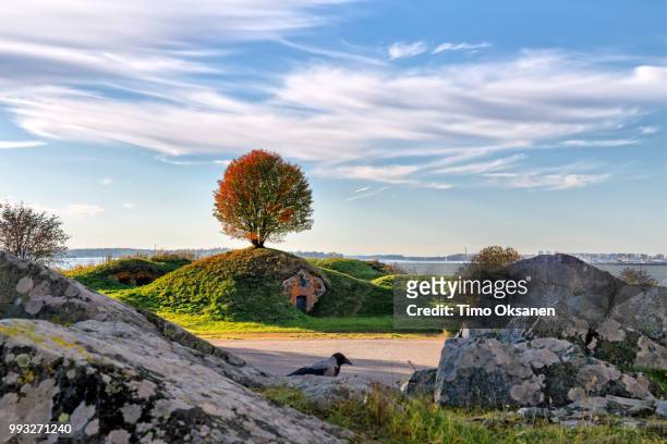 autumn day in suomenlinna - suomenlinna stock pictures, royalty-free photos & images