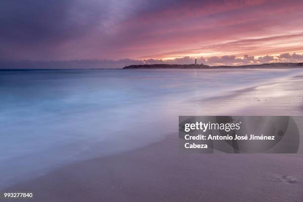 calm on trafalgar beach, cadiz, spain - cabeza stock pictures, royalty-free photos & images