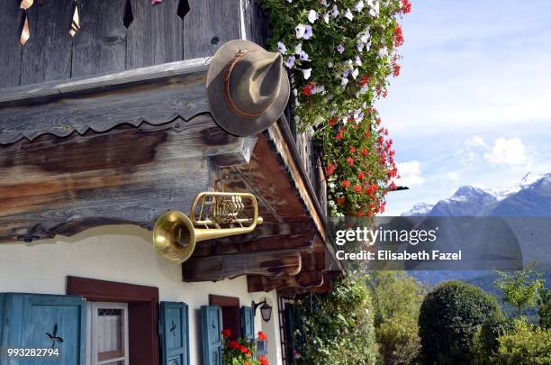 bergdoktor haus tyrol austria - chapéu de tirolês imagens e fotografias de stock