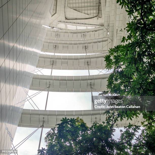 1,368 Library Atrium Stock Photos, High-Res Pictures, and Images ...
