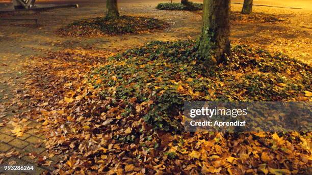 colores de las hojas - hojas imagens e fotografias de stock