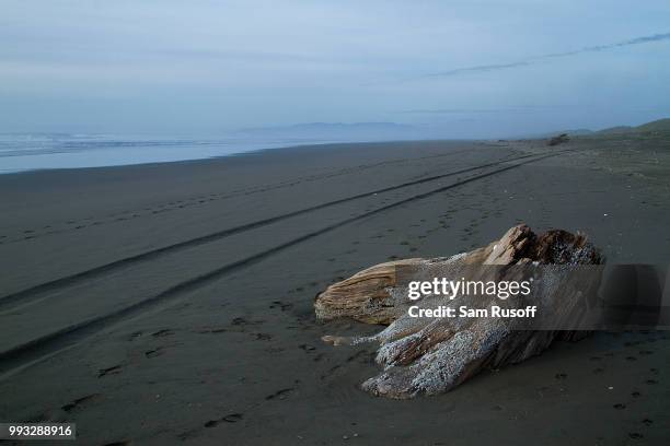 ma-l'el dunes driftwood - sam sand dunes stock pictures, royalty-free photos & images