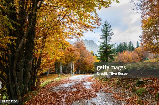 198 Artigues Stock Photos, HighRes Pictures, and Images Getty Images