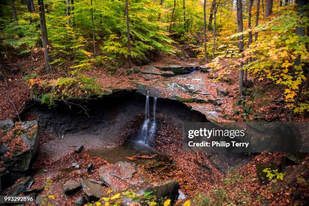 blue hen falls - terry woods ストックフォトと画像