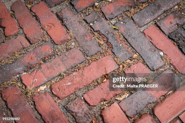 brick stone sidewalk - malte stock pictures, royalty-free photos & images