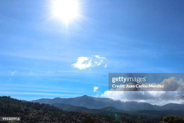 la selva, huayacocotla - selva stock pictures, royalty-free photos & images