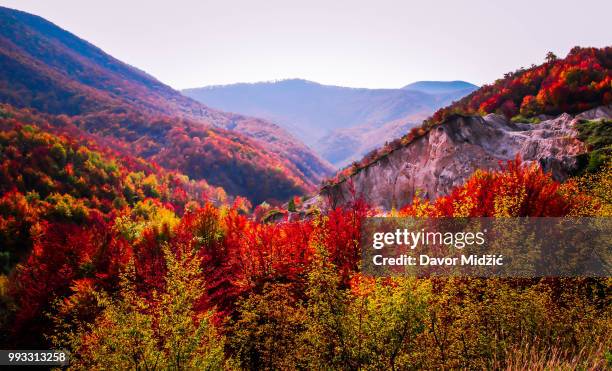 Jesen Fall Jesen Photos and Premium High Res Pictures - Getty Images
