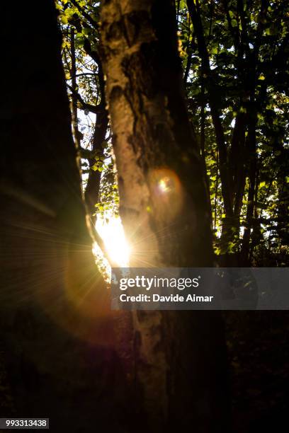 last sun - aimar stock pictures, royalty-free photos & images