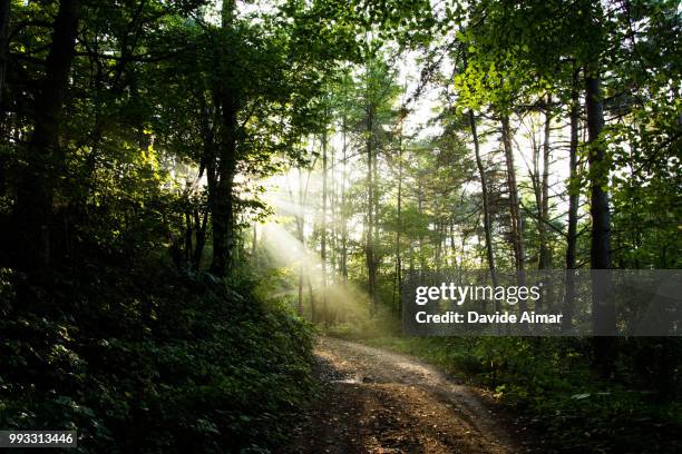light beams - aimar stock pictures, royalty-free photos & images