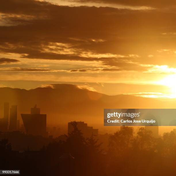 yesterday, 7:33 am at mexico city. - carlos urquijo stock pictures, royalty-free photos & images