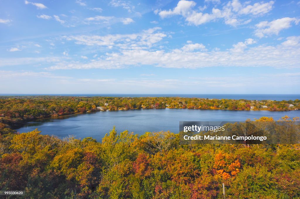 Birds Eye View of Scargo Lake